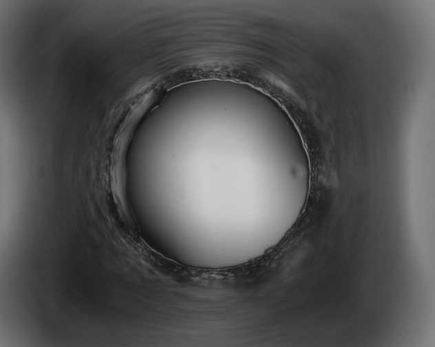 X0000084530869200703021418