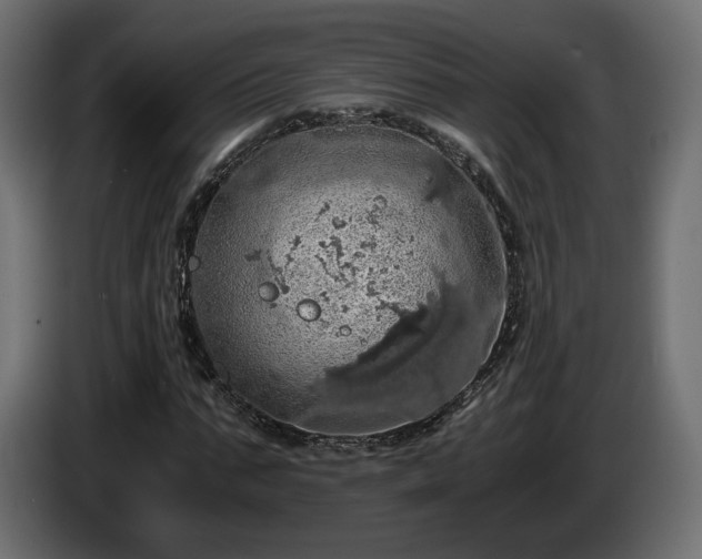 X0000084530871200703021418