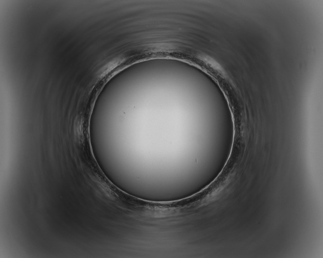 X0000084530873200703021418