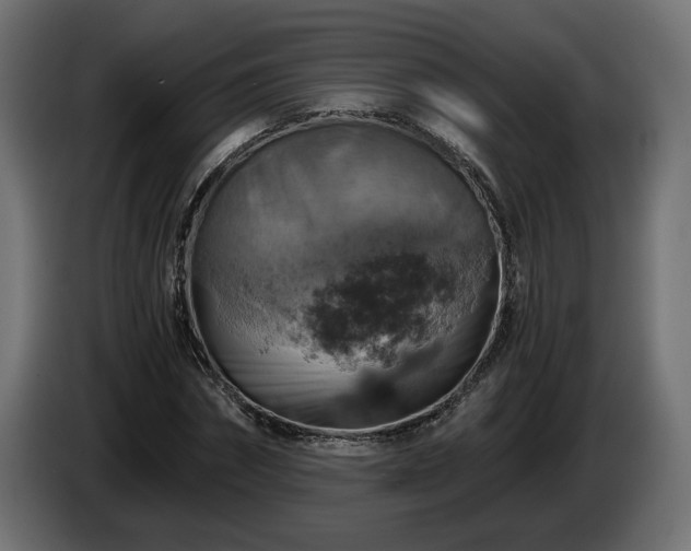 X0000084530874200703021418