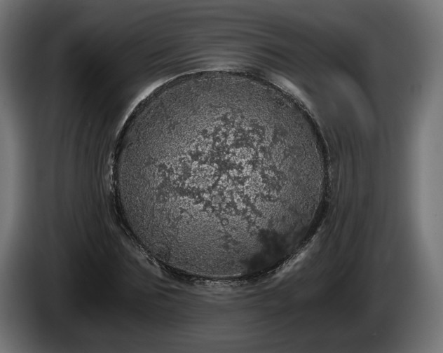 X0000084530875200703021418