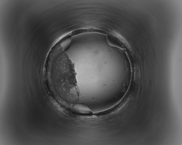 X0000084530876200703021418