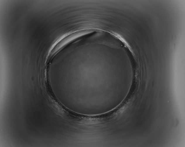 X0000084530877200703021418
