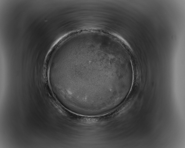 X0000084530878200703021418