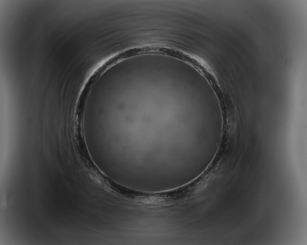 X0000084530879200703021418