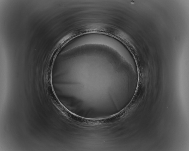 X0000084530882200703021418