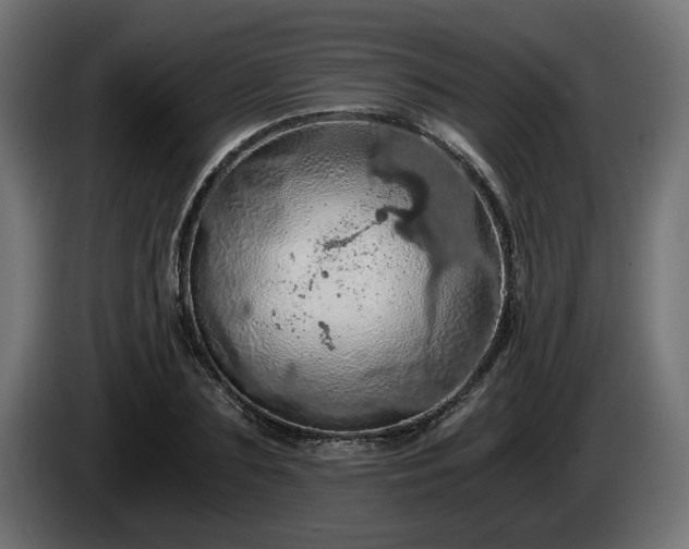 X0000084530883200703021418