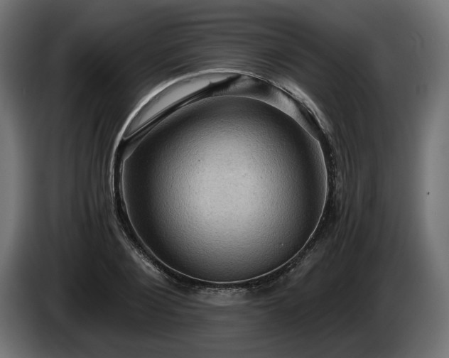 X0000084530884200703021418