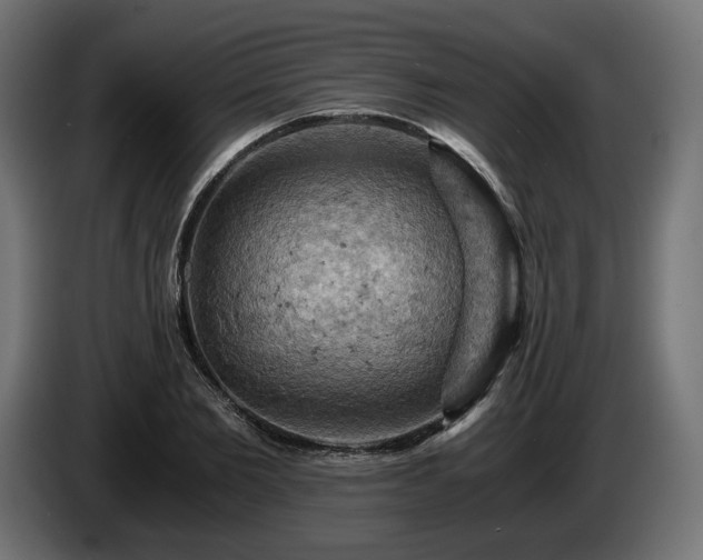 X0000084530885200703021418