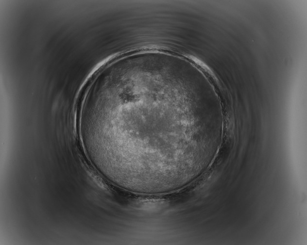 X0000084530886200703021418
