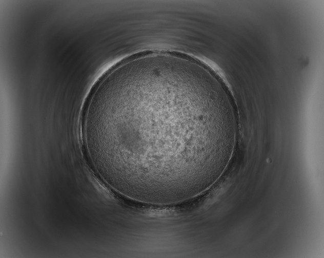 X0000084530887200703021418