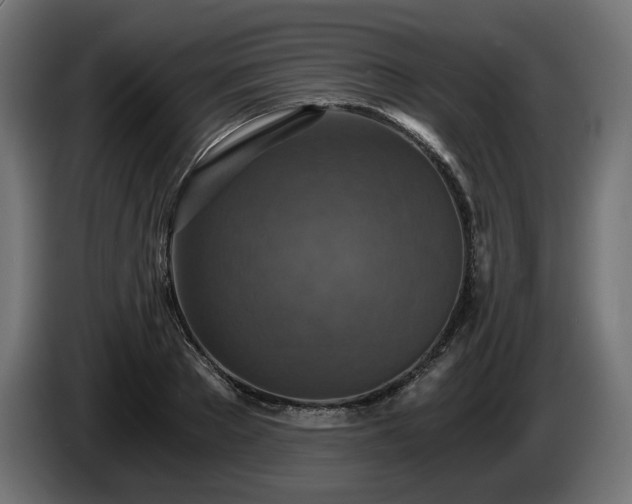 X0000084530889200703021418