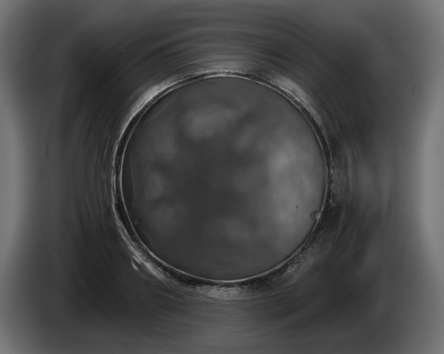 X0000084530890200703021418