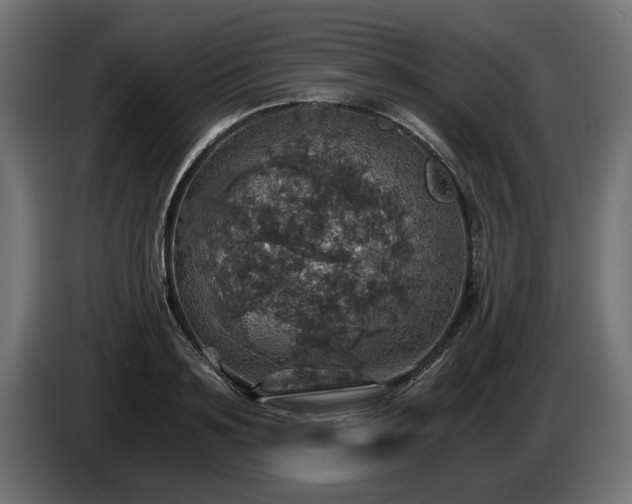 X0000084530891200703021418