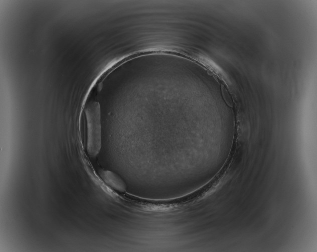 X0000084530892200703021418