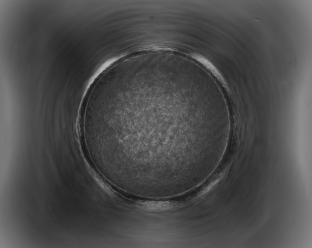 X0000084530893200703021418