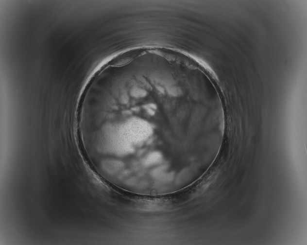 X0000084530895200703021418