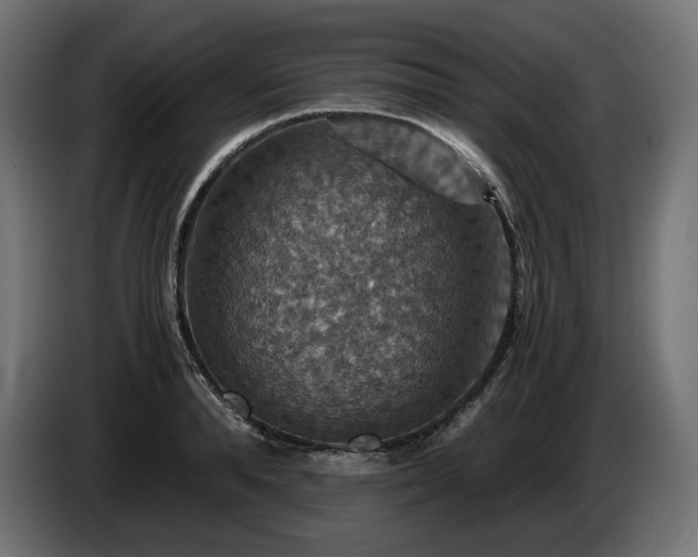 X0000084530896200703021418