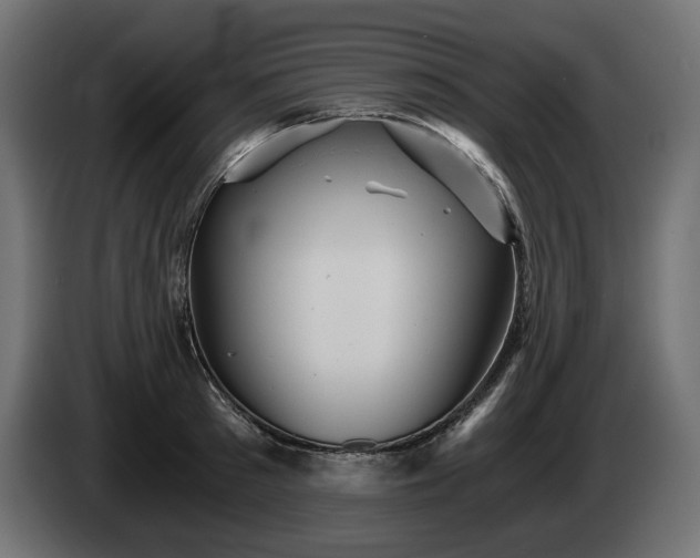 X0000084530897200703021418