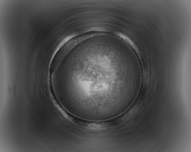 X0000084530898200703021418