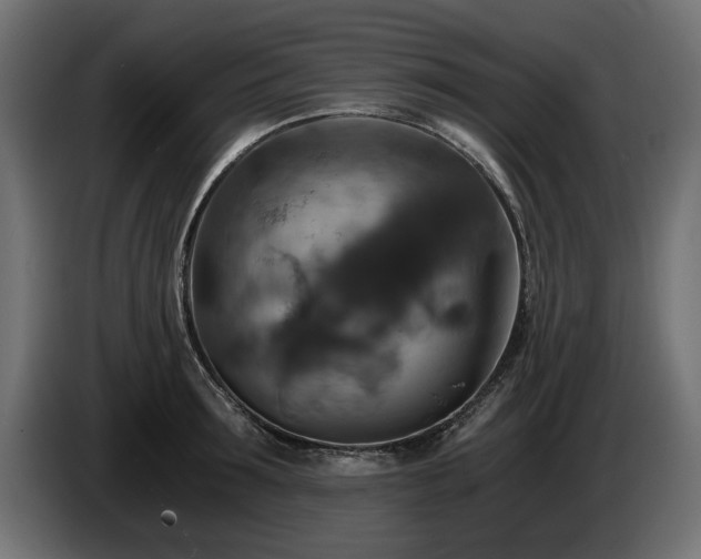 X0000084530899200703021418
