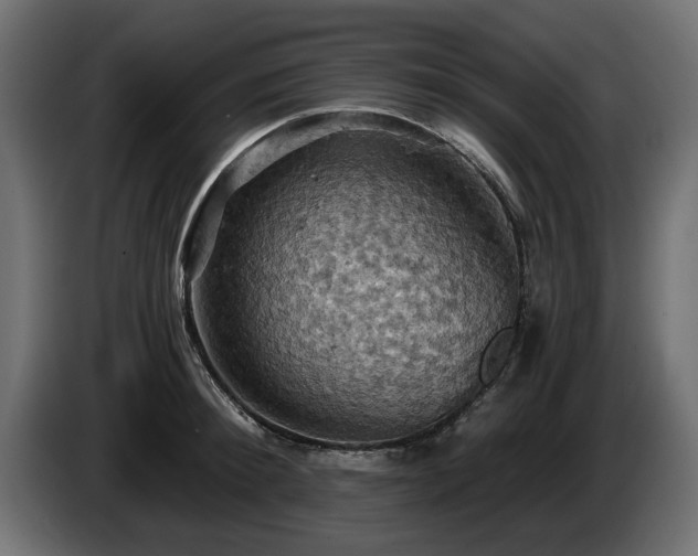 X0000084530900200703021418