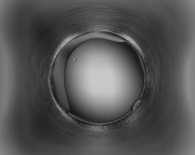 X0000084530901200703021418