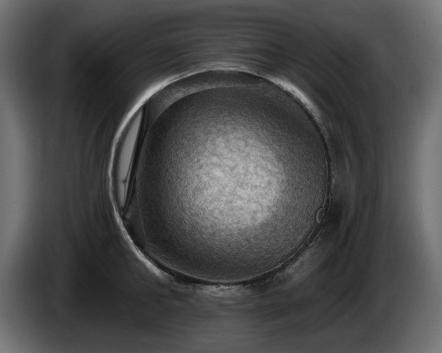 X0000084530902200703021418