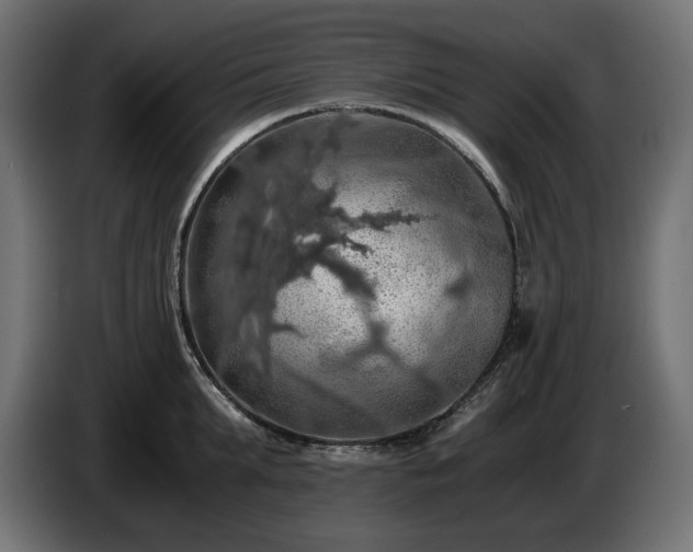 X0000084530903200703021418
