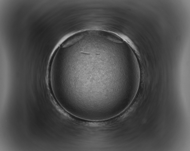 X0000084530904200703021418