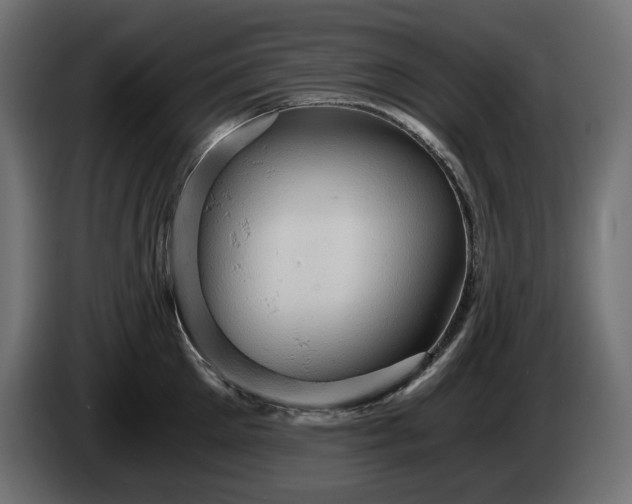 X0000084530905200703021418