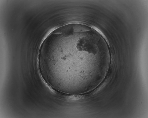 X0000084530906200703021418
