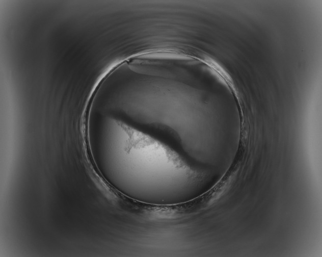 X0000084530907200703021418