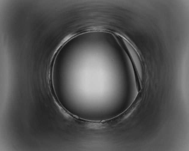 X0000084530909200703021418
