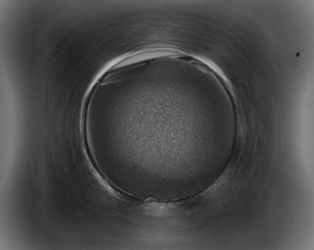 X0000084530910200703021418