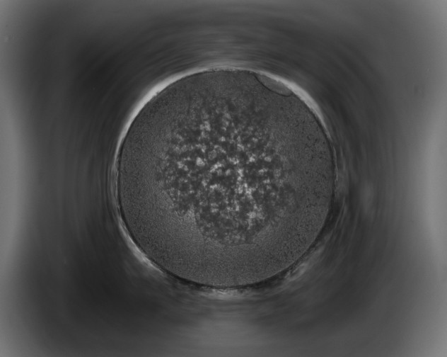 X0000084530911200703021417