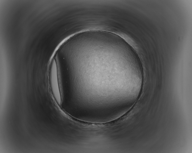 X0000084530912200703021417