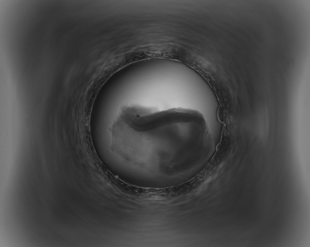 X0000084530913200703021417