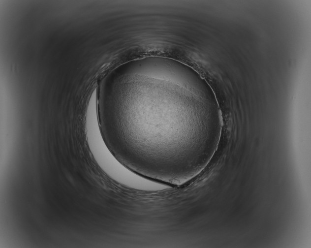 X0000084530916200703021417