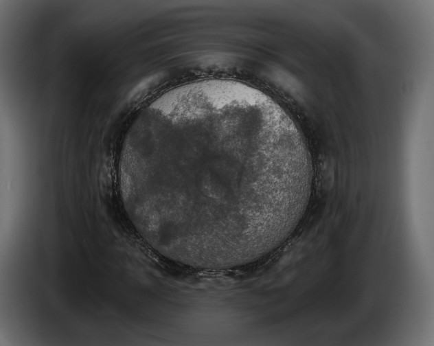 X0000084530918200703021417