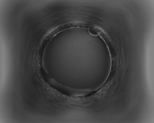 X0000084530919200703021417