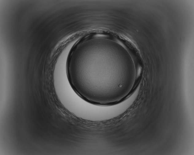 X0000084530920200703021417