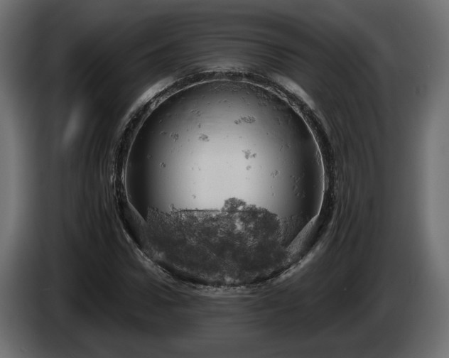 X0000084530922200703021417