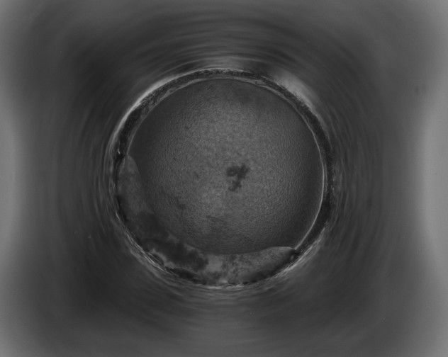 X0000084530923200703021417