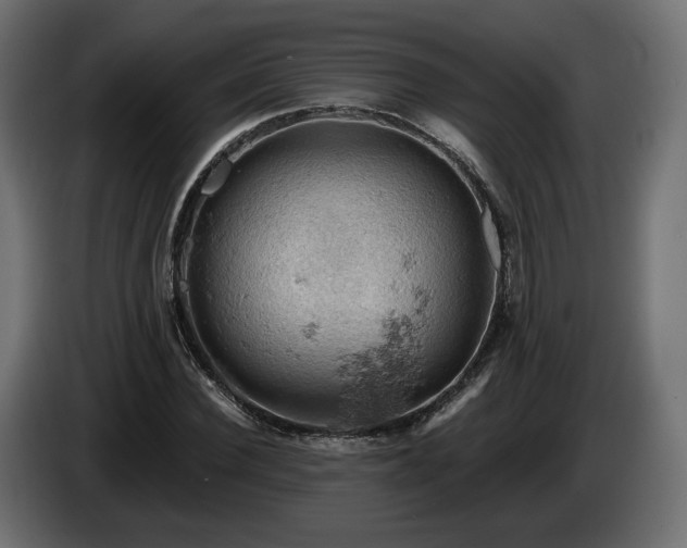 X0000084530924200703021417