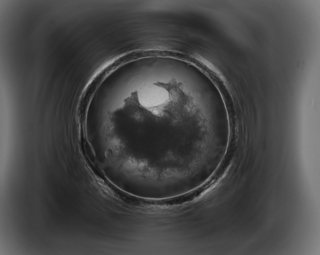 X0000084530925200703021417