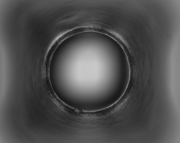 X0000084530927200703021417