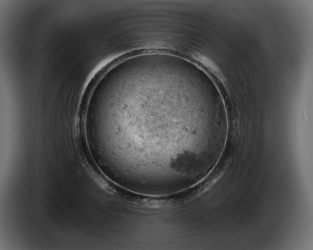 X0000084530928200703021417
