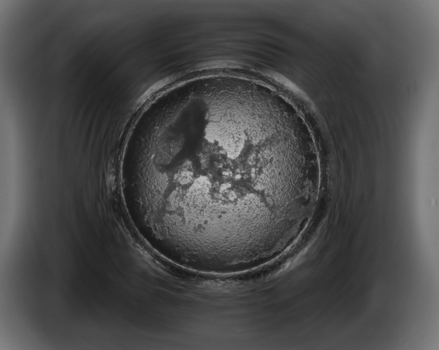 X0000084530929200703021417
