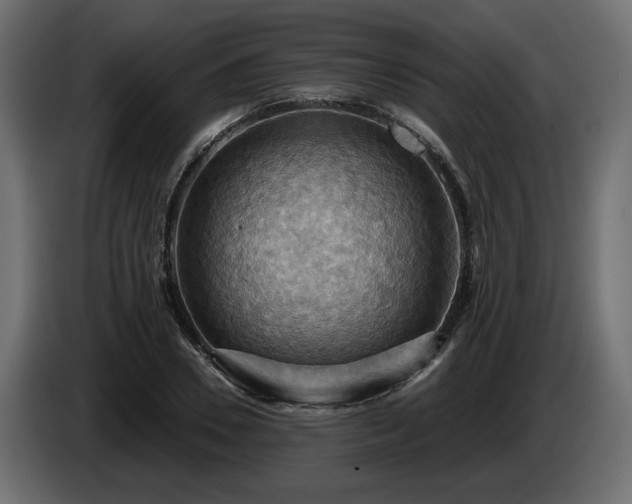 X0000084530930200703021417
